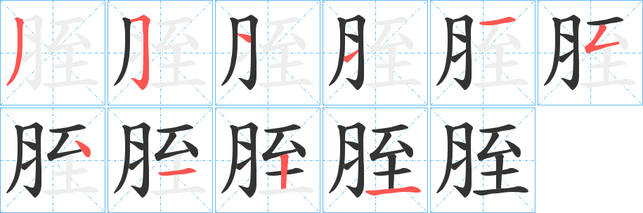 胵的笔画顺序字笔顺的正确写法图