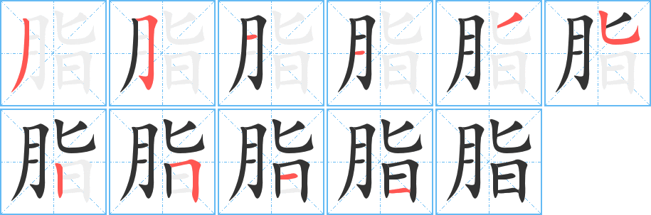 脂的笔画顺序字笔顺的正确写法图