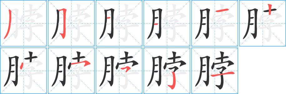 脖的笔画顺序字笔顺的正确写法图