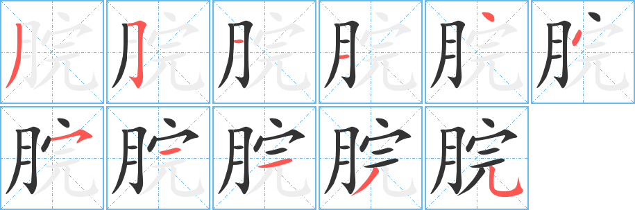 脘的笔画顺序字笔顺的正确写法图