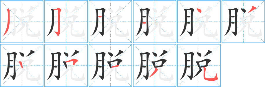 脱的笔画顺序字笔顺的正确写法图