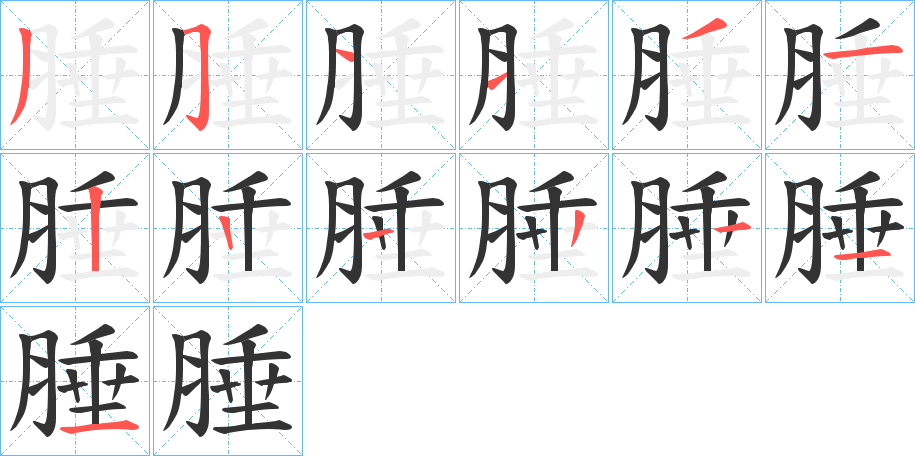 腄的笔画顺序字笔顺的正确写法图