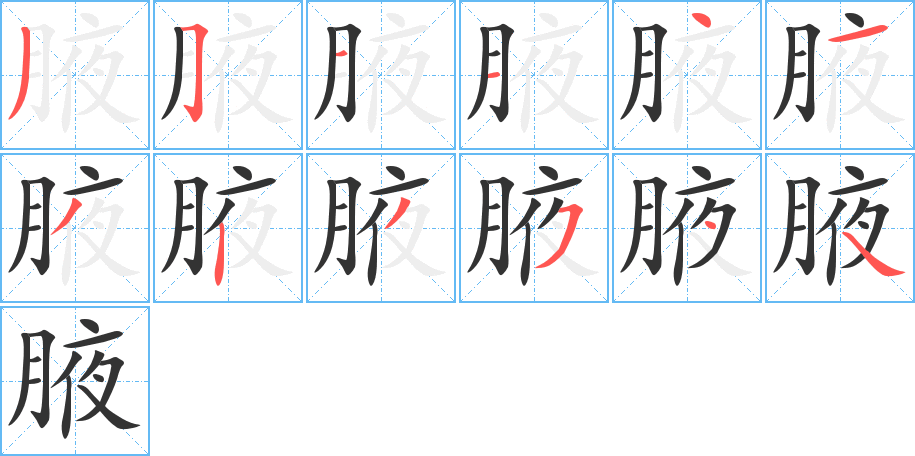 腋的笔画顺序字笔顺的正确写法图