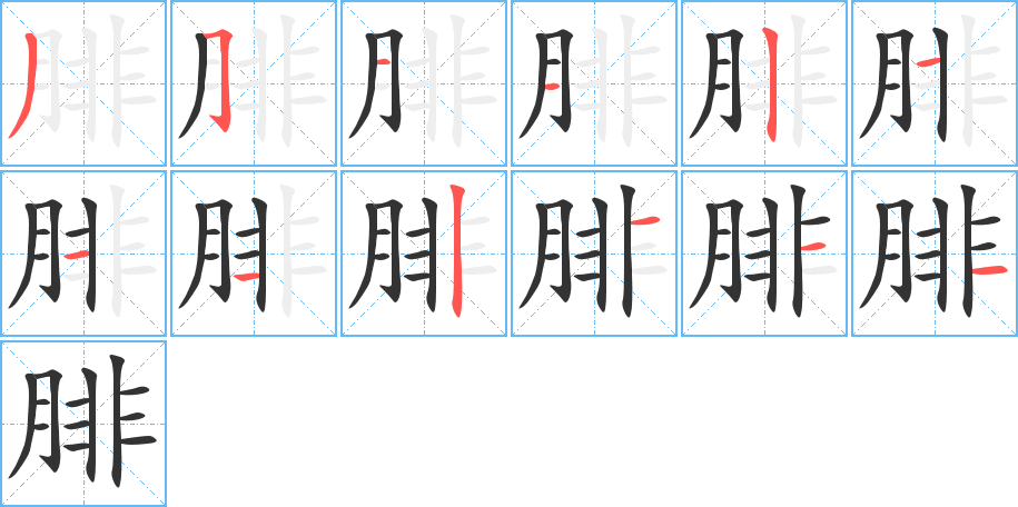 腓的笔画顺序字笔顺的正确写法图