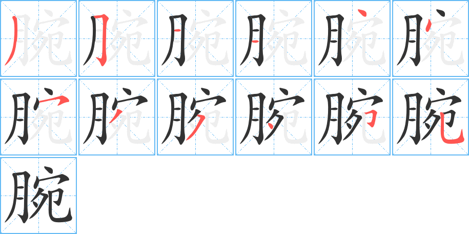 腕的笔画顺序字笔顺的正确写法图