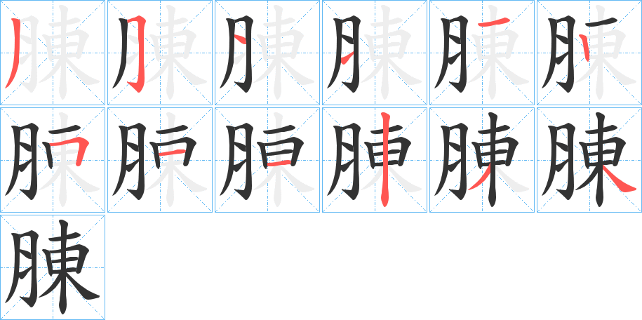 腖的笔画顺序字笔顺的正确写法图