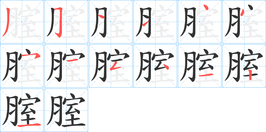 腟的笔画顺序字笔顺的正确写法图