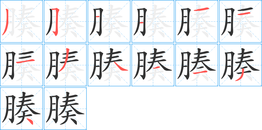 腠的笔画顺序字笔顺的正确写法图