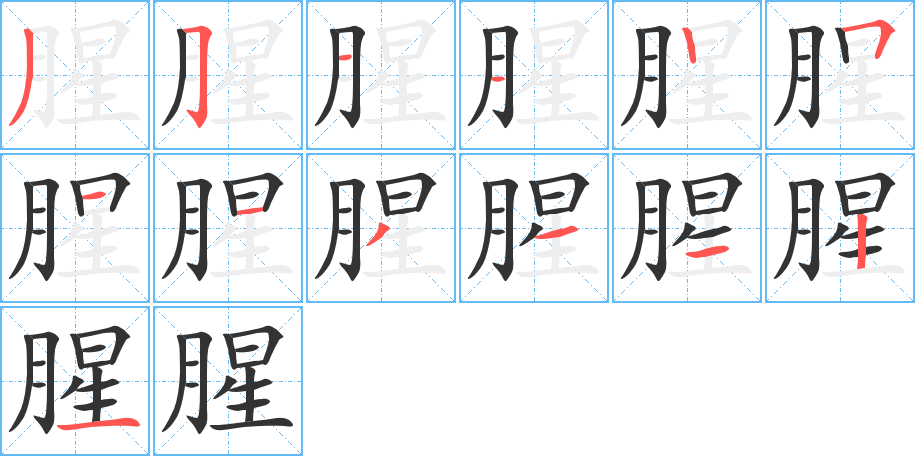 腥的笔画顺序字笔顺的正确写法图