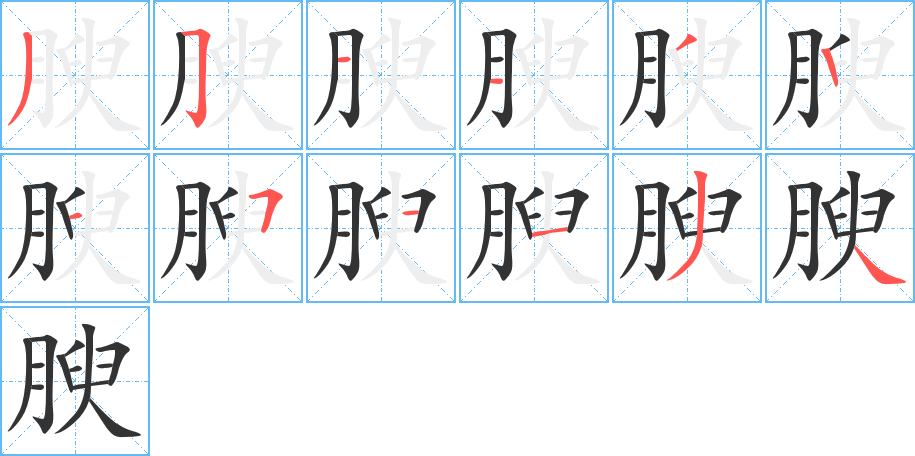 腴的笔画顺序字笔顺的正确写法图