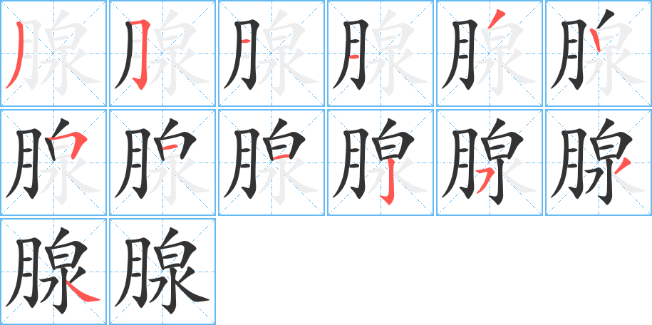 腺的笔画顺序字笔顺的正确写法图