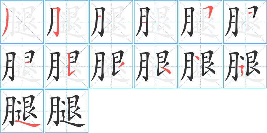 腿的笔画顺序字笔顺的正确写法图