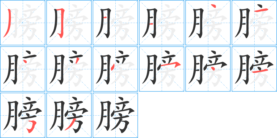 膀的笔画顺序字笔顺的正确写法图