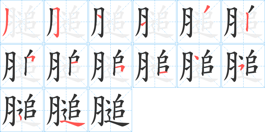 膇的笔画顺序字笔顺的正确写法图