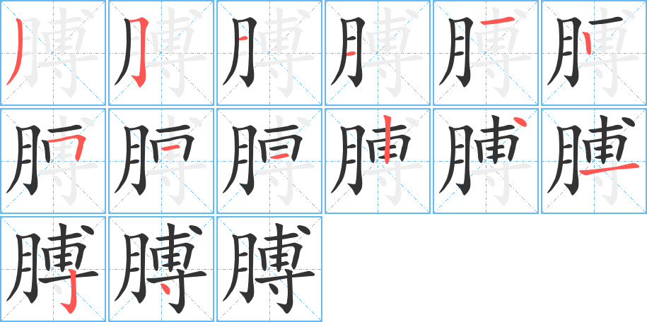 膊的笔画顺序字笔顺的正确写法图