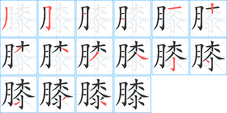 膝的笔画顺序字笔顺的正确写法图