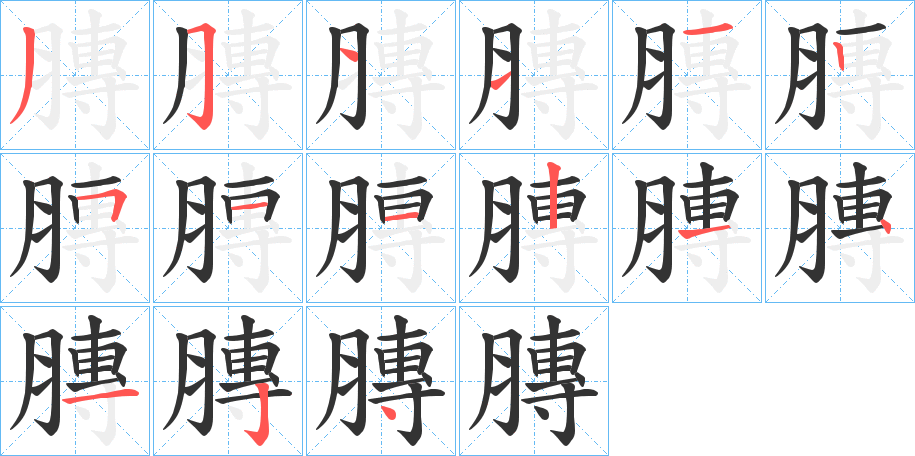 膞的笔画顺序字笔顺的正确写法图