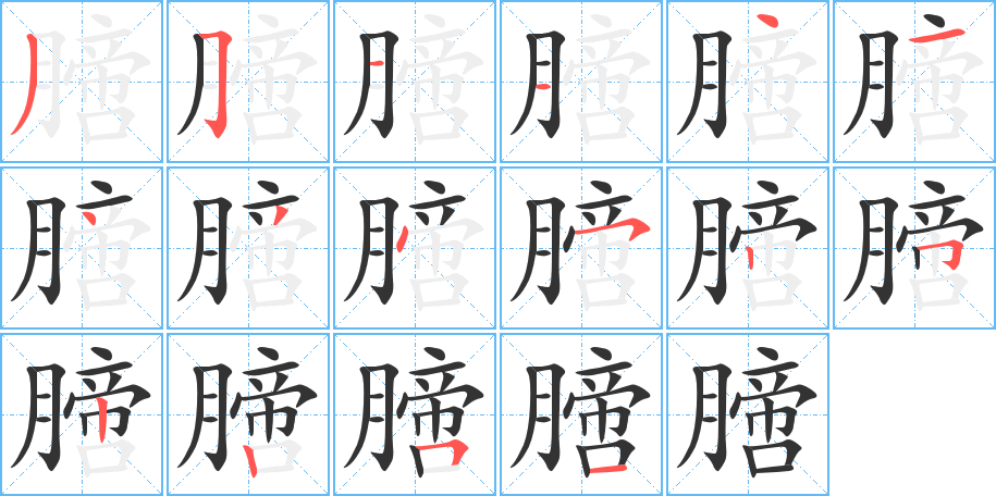 膪的笔画顺序字笔顺的正确写法图