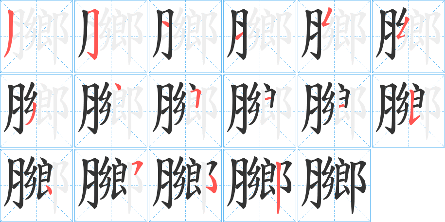 膷的笔画顺序字笔顺的正确写法图