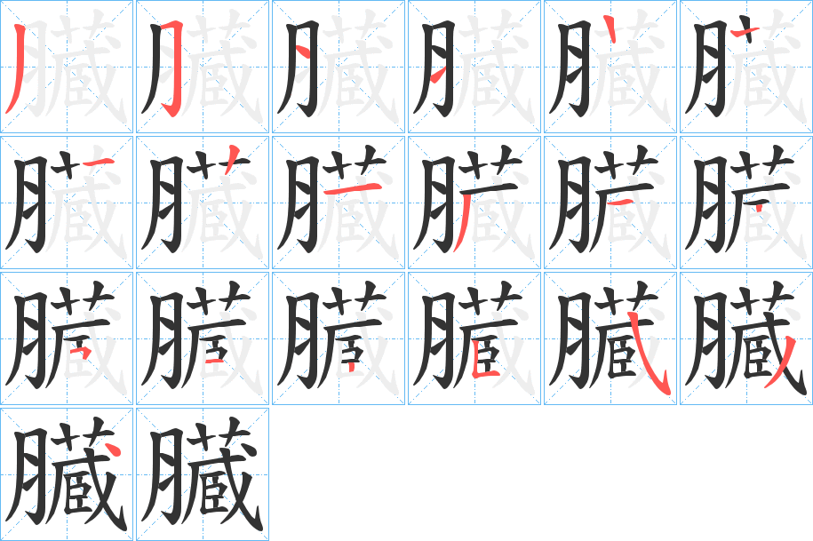 臓的笔画顺序字笔顺的正确写法图