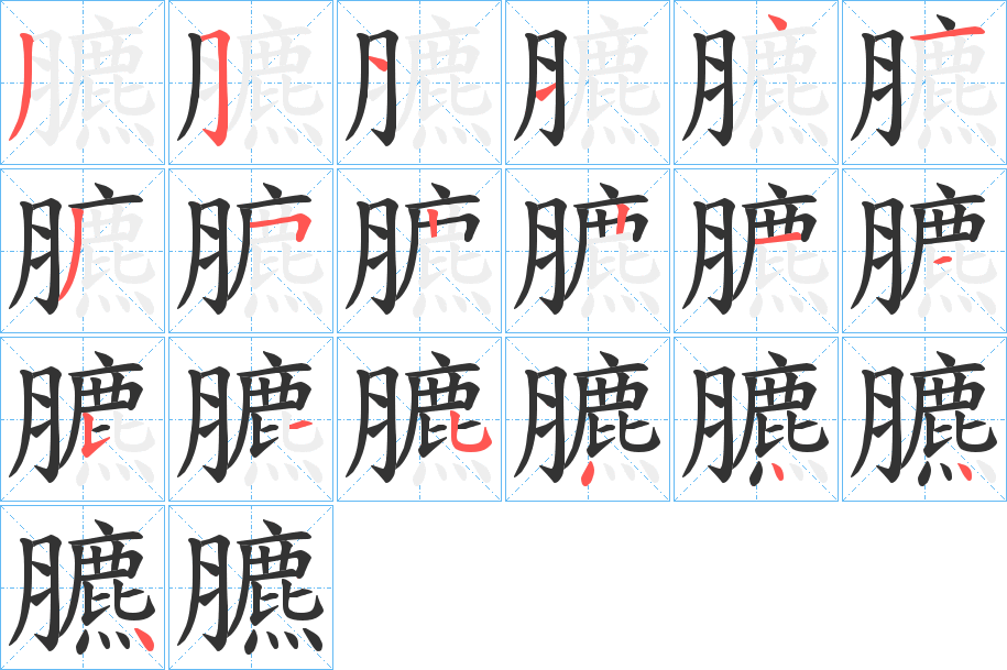 臕的笔画顺序字笔顺的正确写法图