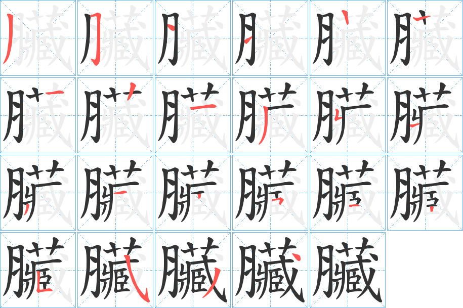 臟的笔画顺序字笔顺的正确写法图