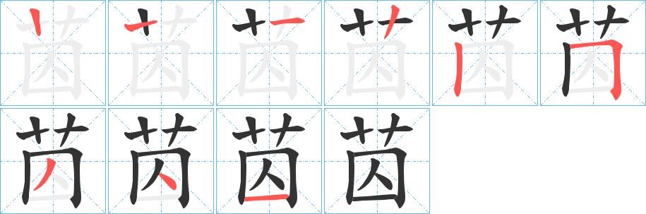 苬的笔画顺序字笔顺的正确写法图