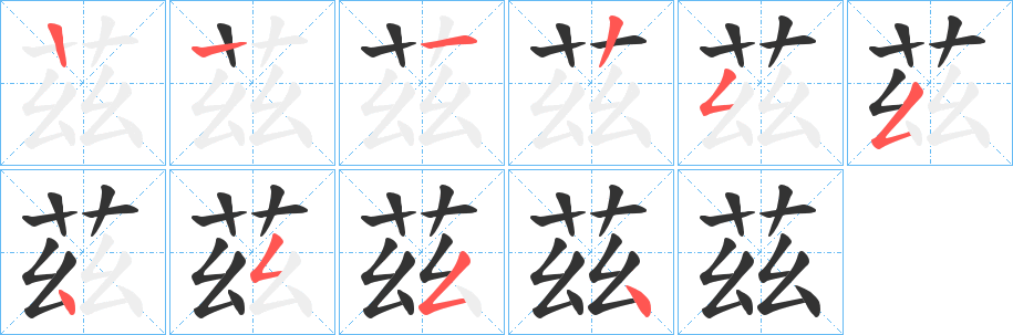 茲的笔画顺序字笔顺的正确写法图