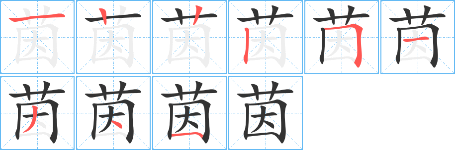 茵的笔画顺序字笔顺的正确写法图