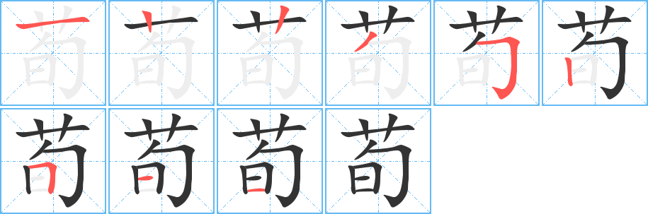 荀的笔画顺序字笔顺的正确写法图