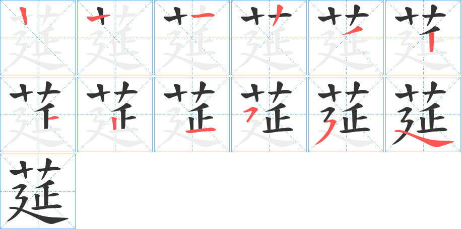 莚的笔画顺序字笔顺的正确写法图