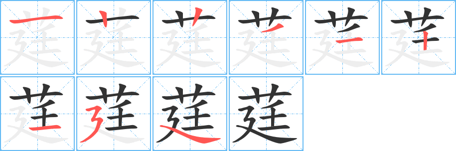 莛的笔画顺序字笔顺的正确写法图