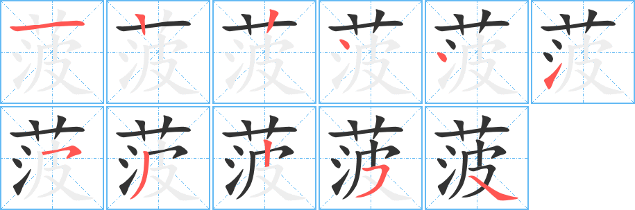 菠的笔画顺序字笔顺的正确写法图