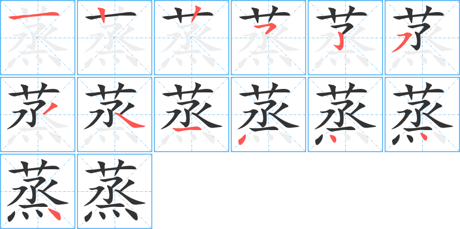 蒸的笔画顺序字笔顺的正确写法图