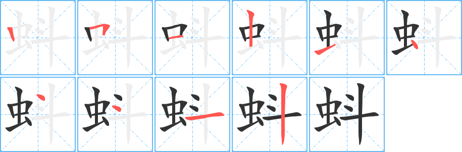 蚪的笔画顺序字笔顺的正确写法图