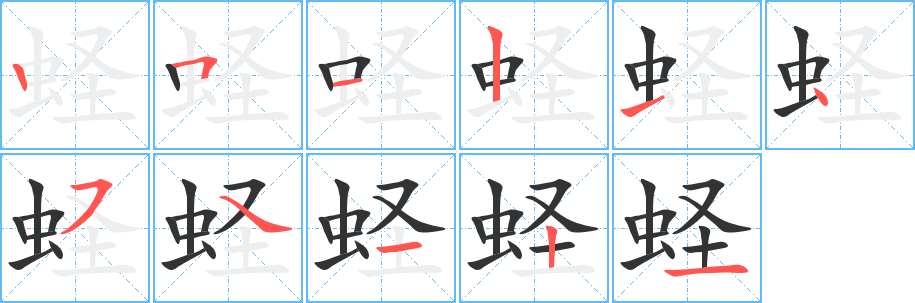 蛏的笔画顺序字笔顺的正确写法图