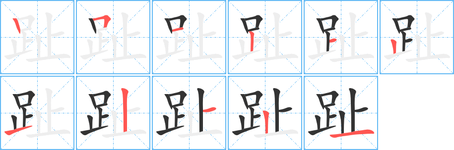 趾的笔画顺序字笔顺的正确写法图