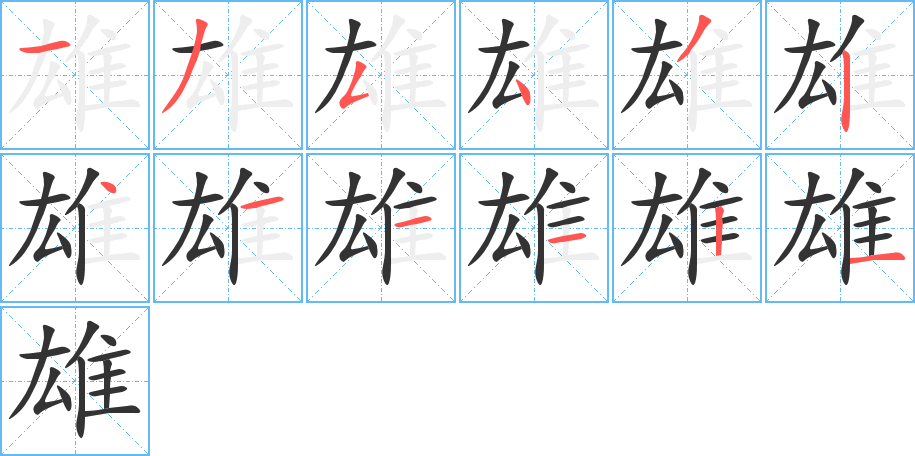 雄的笔画顺序字笔顺的正确写法图