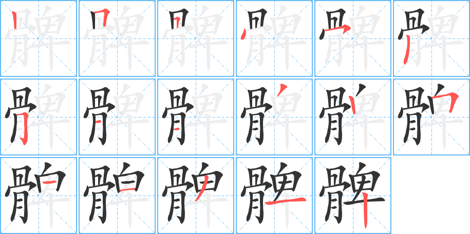 髀的笔画顺序字笔顺的正确写法图