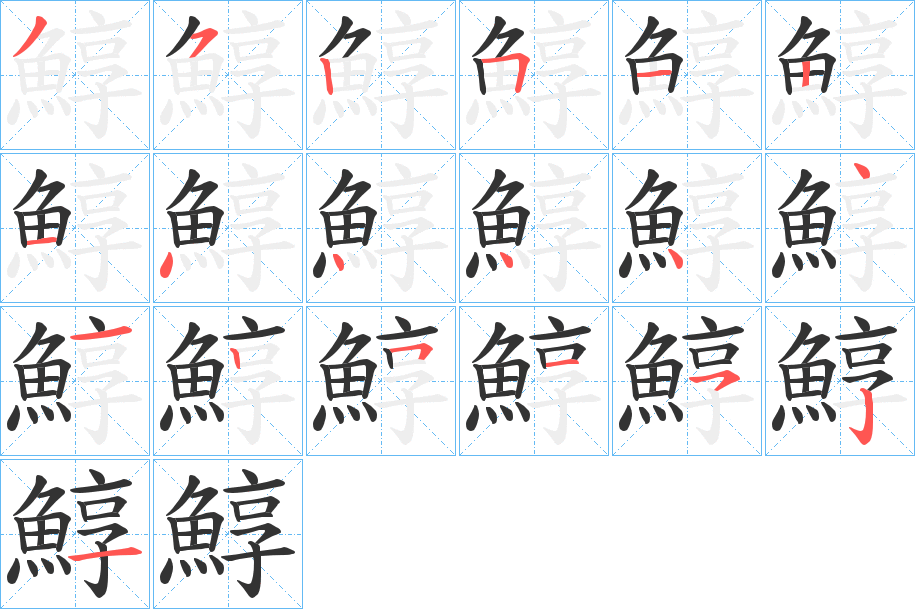 鯙的笔画顺序字笔顺的正确写法图