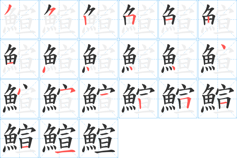 鰚的笔画顺序字笔顺的正确写法图