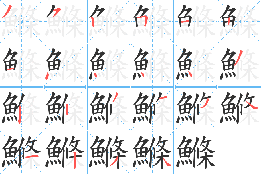 鰷的笔画顺序字笔顺的正确写法图