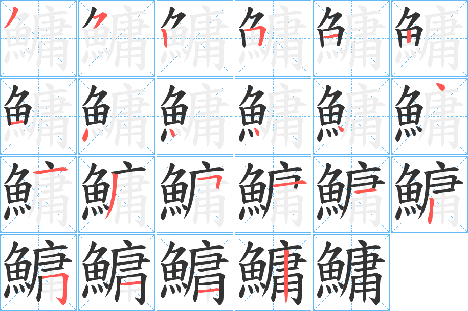 鱅的笔画顺序字笔顺的正确写法图