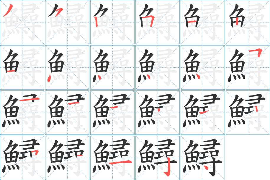 鱘的笔画顺序字笔顺的正确写法图