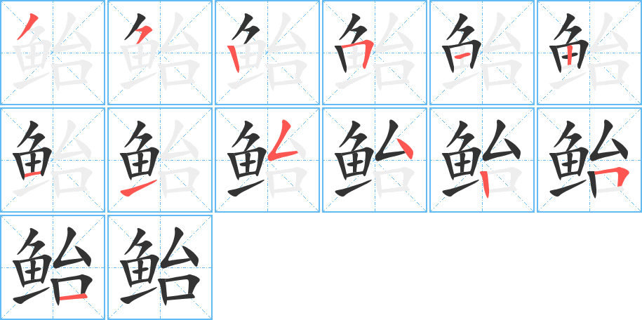 鲐的笔画顺序字笔顺的正确写法图