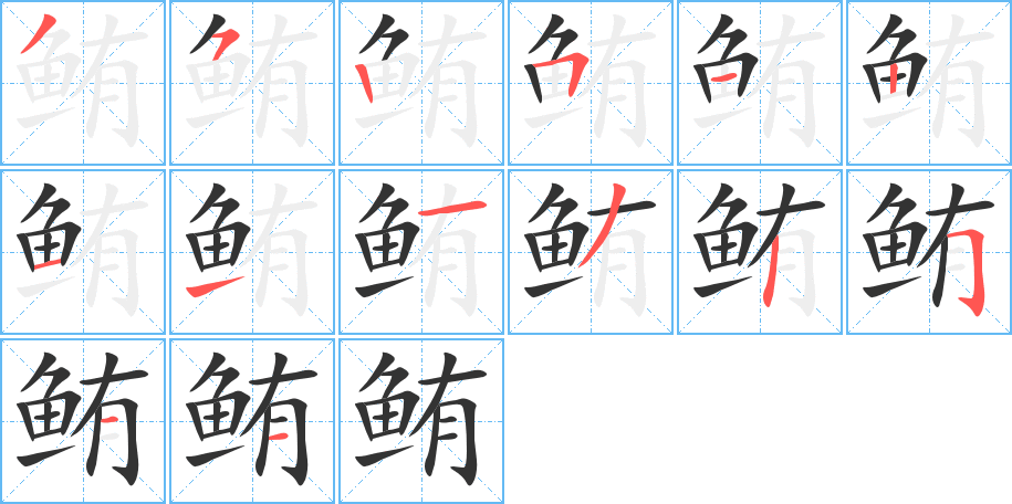 鲔的笔画顺序字笔顺的正确写法图