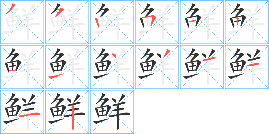 鲜的笔画顺序字笔顺的正确写法图