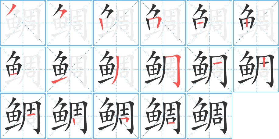 鲷的笔画顺序字笔顺的正确写法图