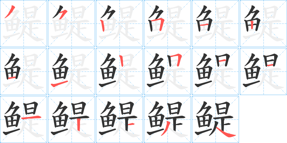 鳀的笔画顺序字笔顺的正确写法图