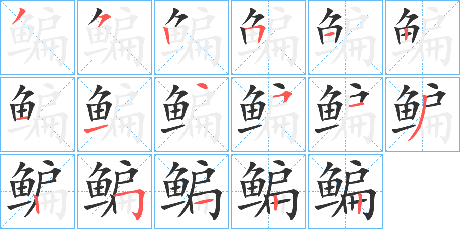 鳊的笔画顺序字笔顺的正确写法图